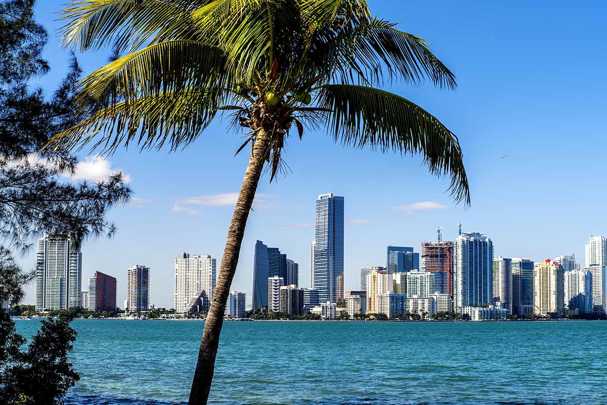 A colour image of the Miami skyline - Hotel Life House venture Henley Investments