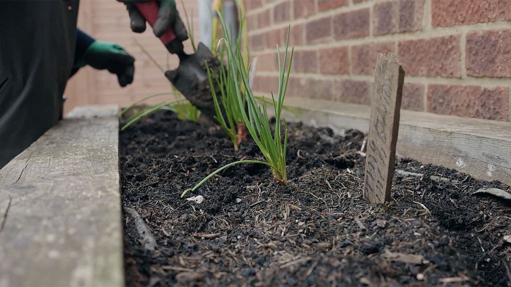 Community Sustainability Community gardening initiative within the Ebbsfleet Garden City development